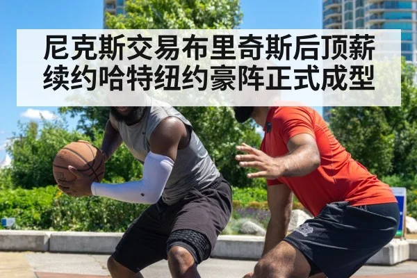 尼克斯交易布里奇斯后顶薪续约哈特纽约豪阵正式成型